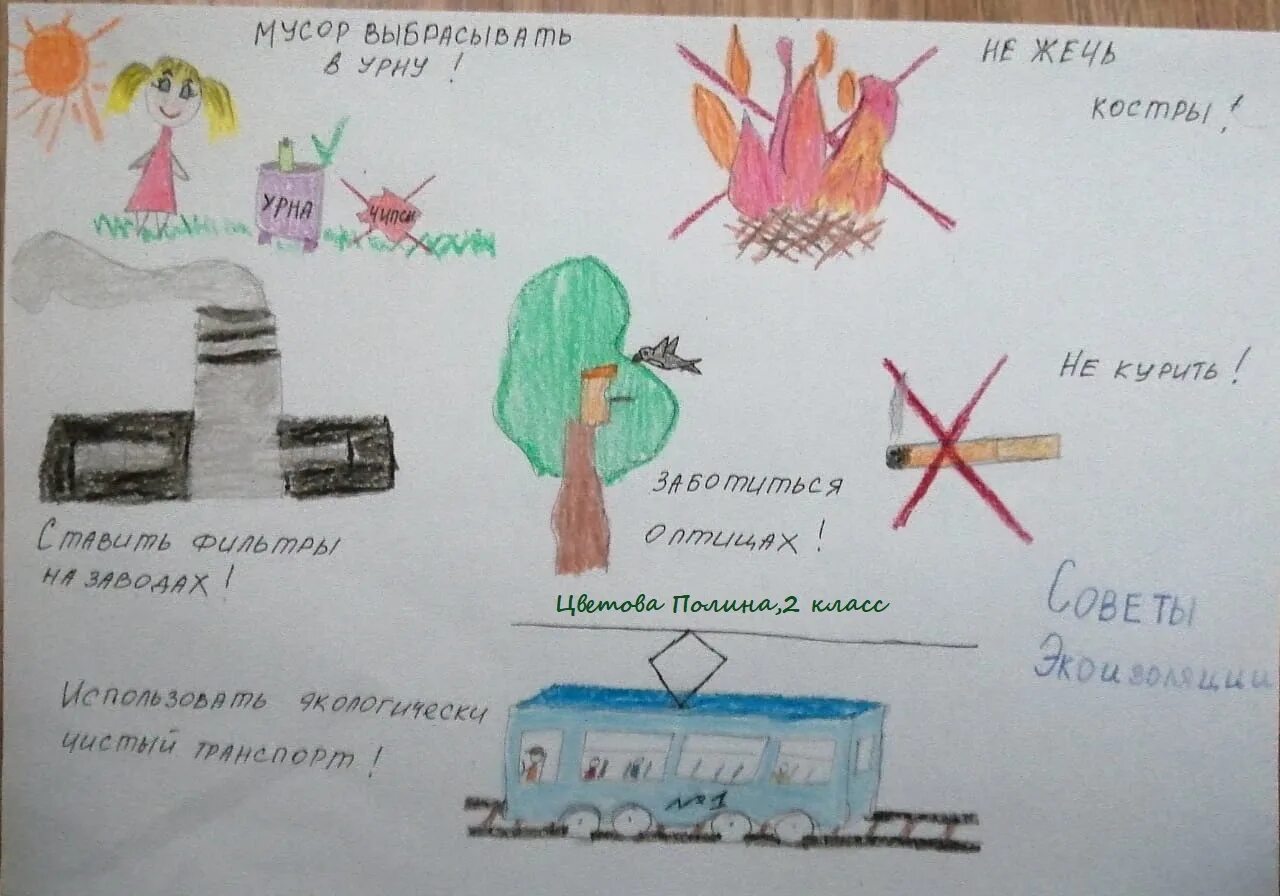 Дневник эколога 2 класс. Экологический дневник 2 класс. Экологический дневник школьника. Экологический дневник школьника 2 класс.