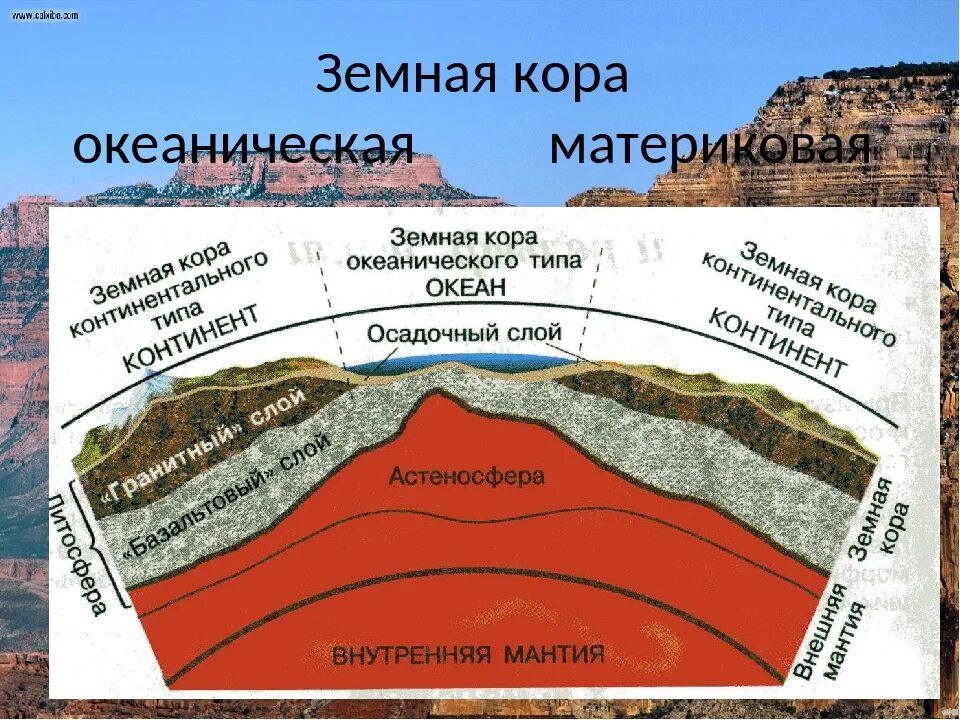 Горные породы образуют земную кору