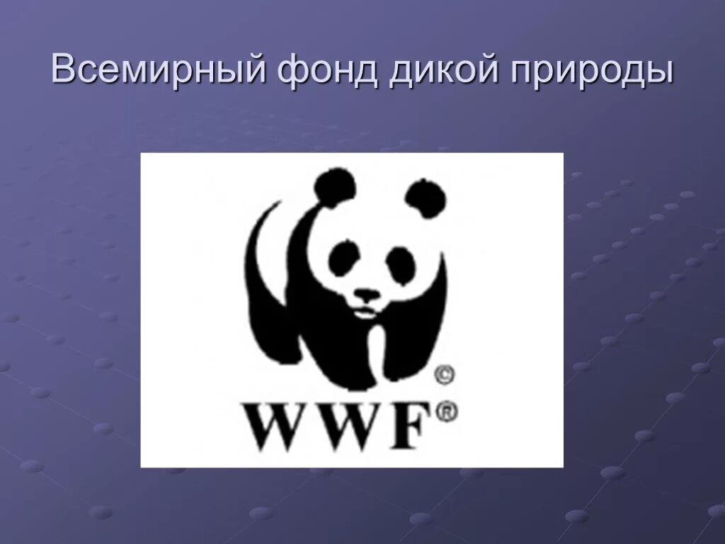 Фонд дикой природы WWF. Символ Всемирного фонда дикой природы. Панда символ Всемирного фонда дикой природы. Фонд дикой природы логотип.