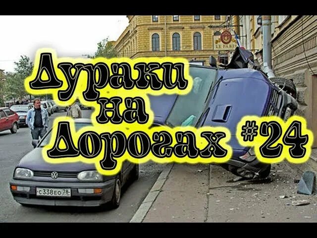 Воробей дураки на дорогах