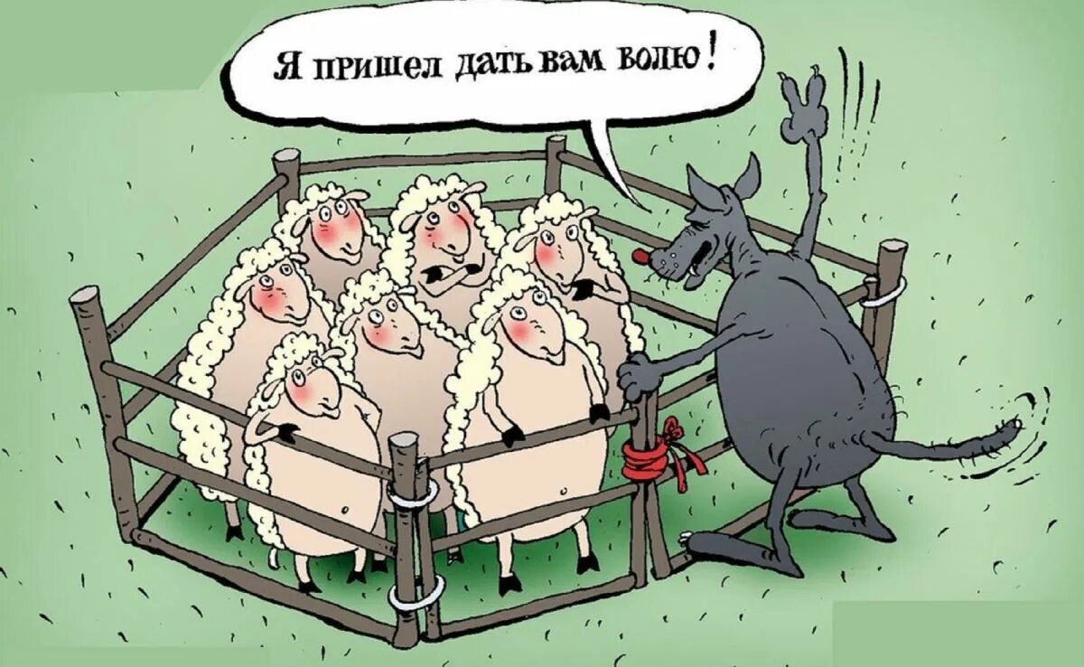 Вспомогатель родов крс vink 160см. Штейерт как помочь больной скотине. Как помочь скотине. Как помочь скотине. Баран карикатура.