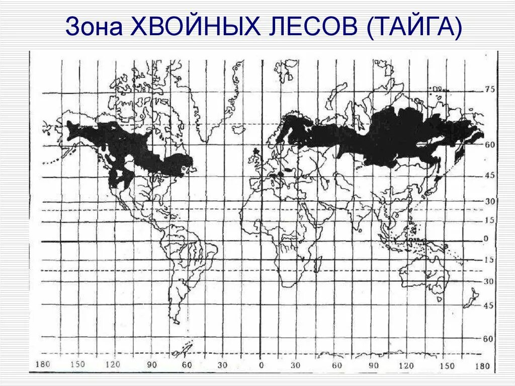 Хвойная на карте. Карта хвойных лесов Евразии. Зона хвойных лесов на карте. Распространение хвойных лесов.