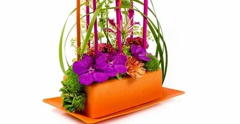 Красный оазис