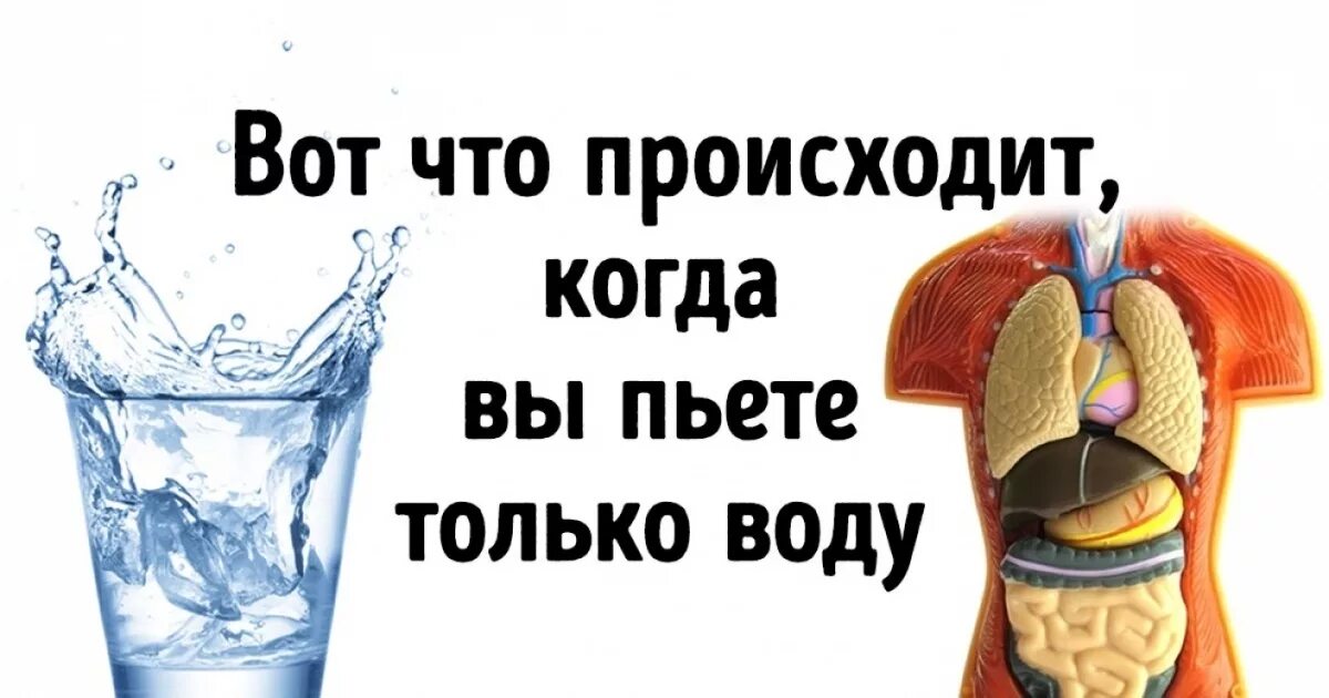 Пить только воду и ничего не есть. Пить одну только воду. Что будет есть пить только воду. Что если пить только воду неделю. Почти не пью воду