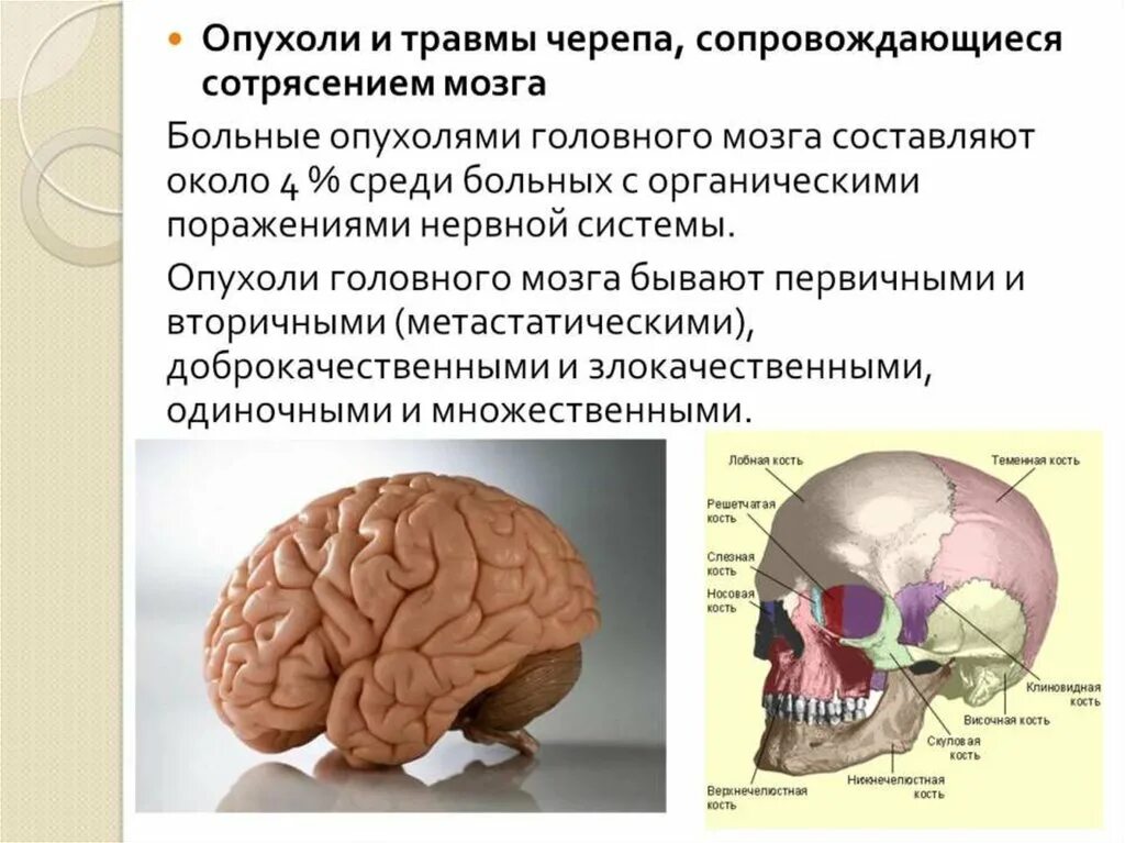 Органическое поражение речевых зон. Нарушения речи при опухолях головного мозга. Нарушение речи при опухоли головного. Причины патологии речи. Органическое поражение головного мозга у детей.