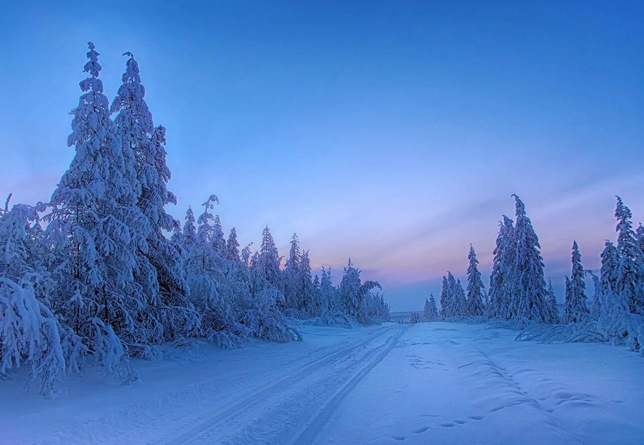 Зима в сибири. Северная дакота природа зима. Зимняя тайга. Зимняя природа сибири. Зима в западной сибири.