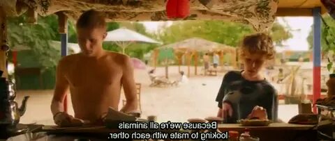 Территория 2013