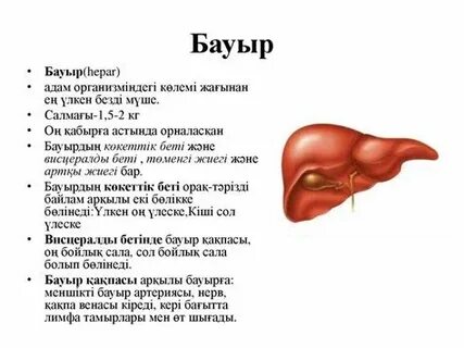Интернетте аудармасы бар порнофильмдерді қараңыз