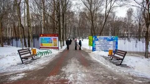 Парк дубки маршрут