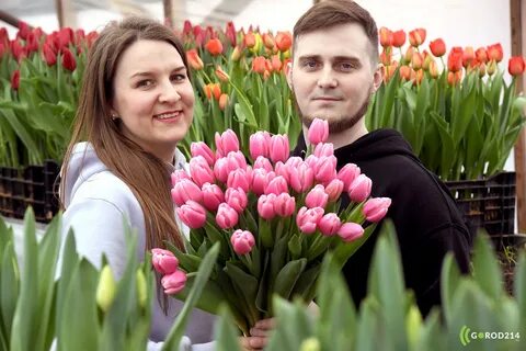 Погода в тюльпанах на 10 дней