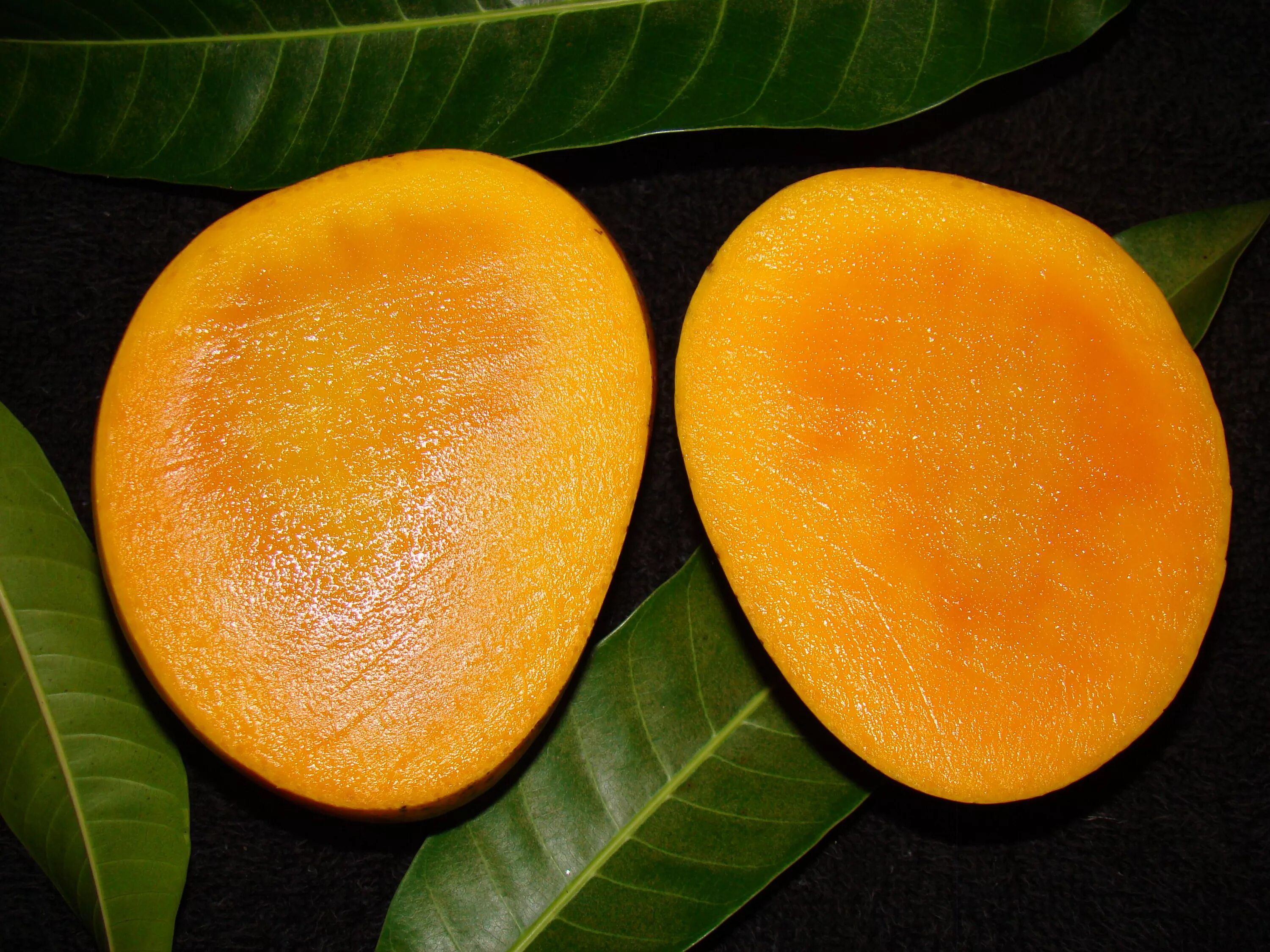 Манго (фрукт). Плод манго. Манго сорт Зебдея. Желтое манго сорт.
