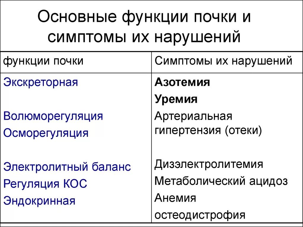 Первые симптомы почек