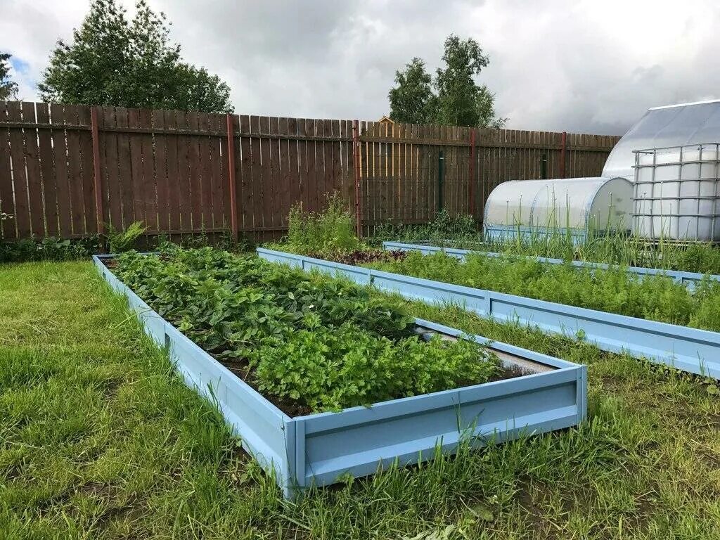 Грядка оцинкованная полимерная. Сибирские грядки оцинкованные. Грядки 30 см оцинкованные с полимерным покрытием. Металлический каркас для грядок. Металлические грядки.