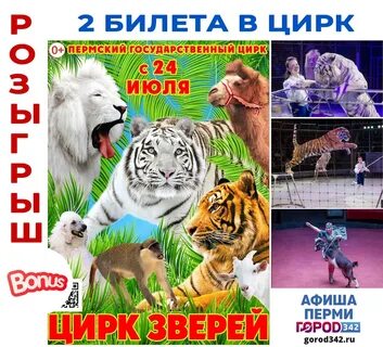 Цирк пермь афиша