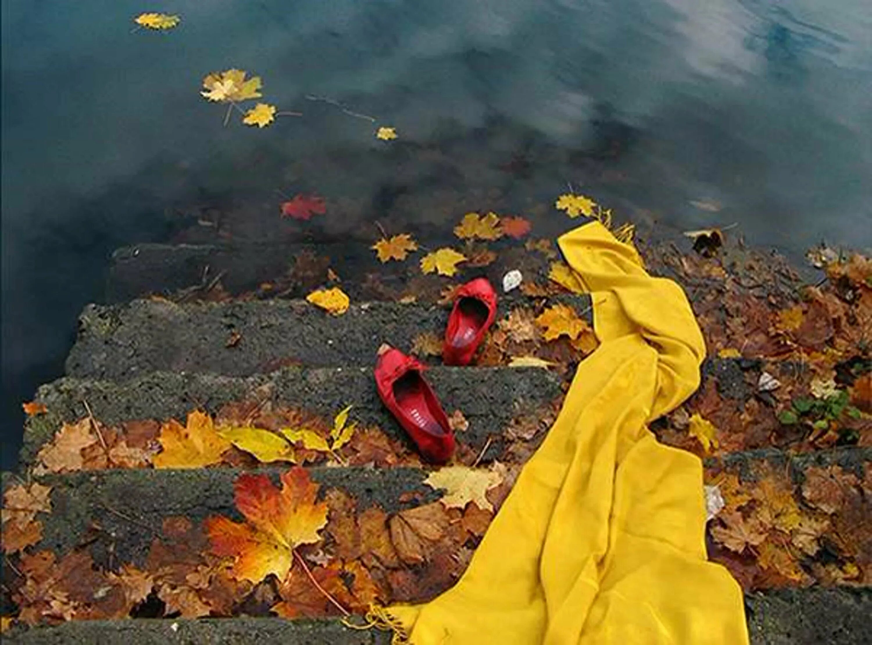 В горячем свете весело и сухо. Осенние размышления. Провожаем осень. Уходит осень. Уходящее лето.