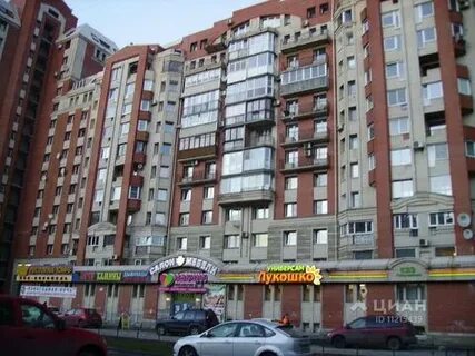 Улица савушкина 131