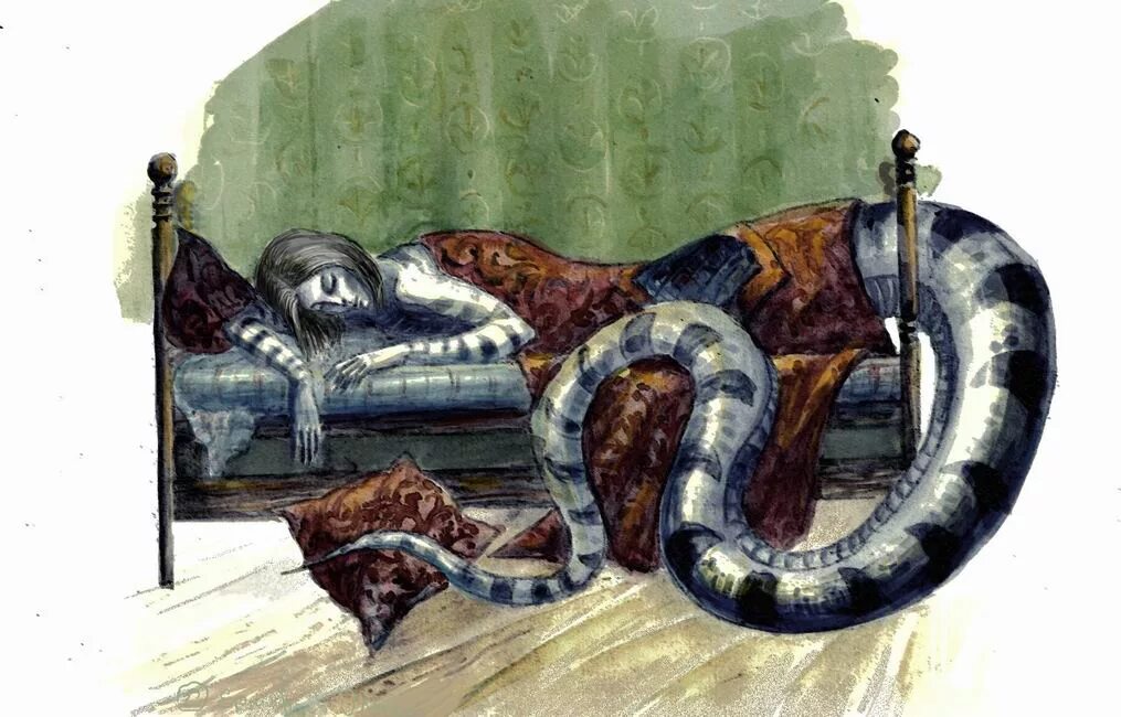 Читать змей 2. Радужный змеелюд. Радуга на земле змеелюд.