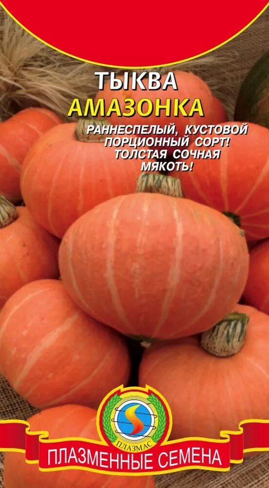 Тыква сорт амазонка. Тыква амазонка фото. Тыква крупноплодная амазонка. Тыква сорт амазонка. Тыква амазонка 10шт /10.