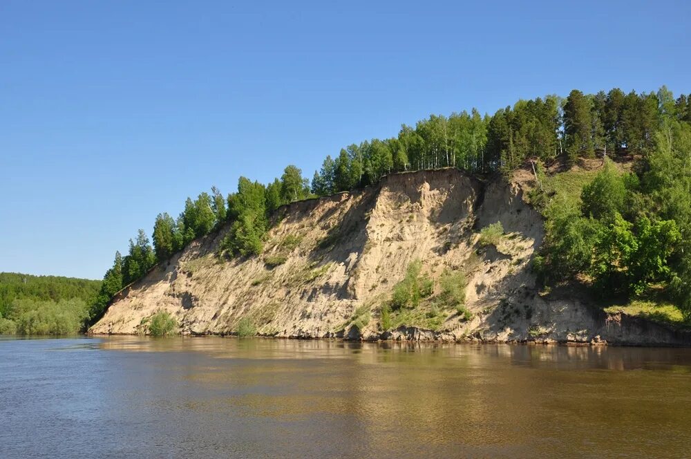 крутые берега. река обь елунино. крутые берега. крутые берега. мыс зундук.