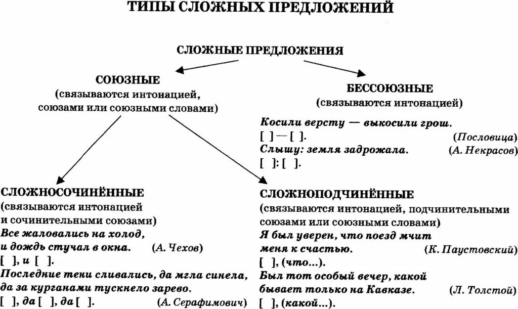 Какие типы сложных предложений вы знаете