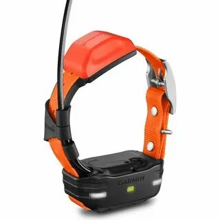 Gps ошейник для собак гармин