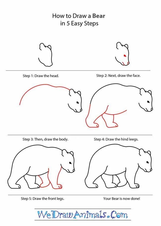 How to draw Bear. Bear draw Tutorial. Draw a Bear Step ин Step. Easy animal drawings Step by Step. Drew born