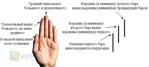 Пальцем правило