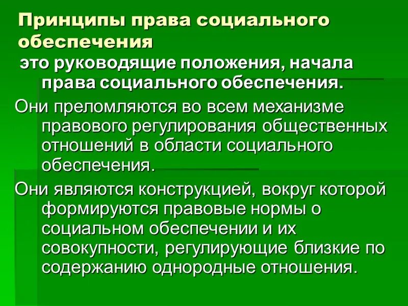 Социальное обеспечение в российской федерации доклад. Принципы социального обеспечения определение. Что такое правовые принципы социального обеспечения.