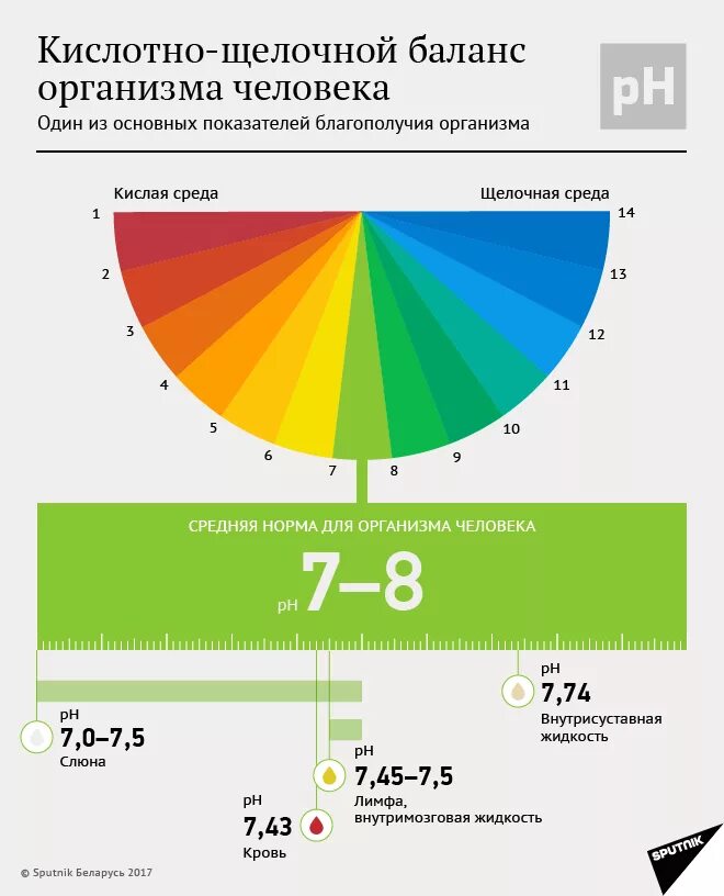 Определить кислотность крови. Нормальный уровень кислотно щелочной баланс. РН норма щелочная. Шкала кислотно щелочного баланса. PH организма человека норма.