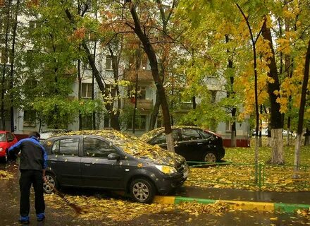 Листва во дворах