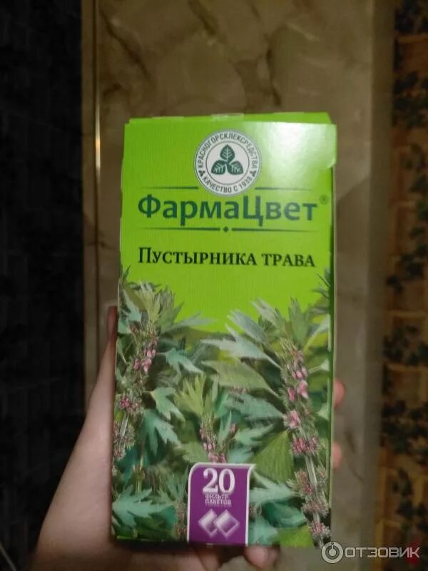 Пила пустырник. Пила пустырник