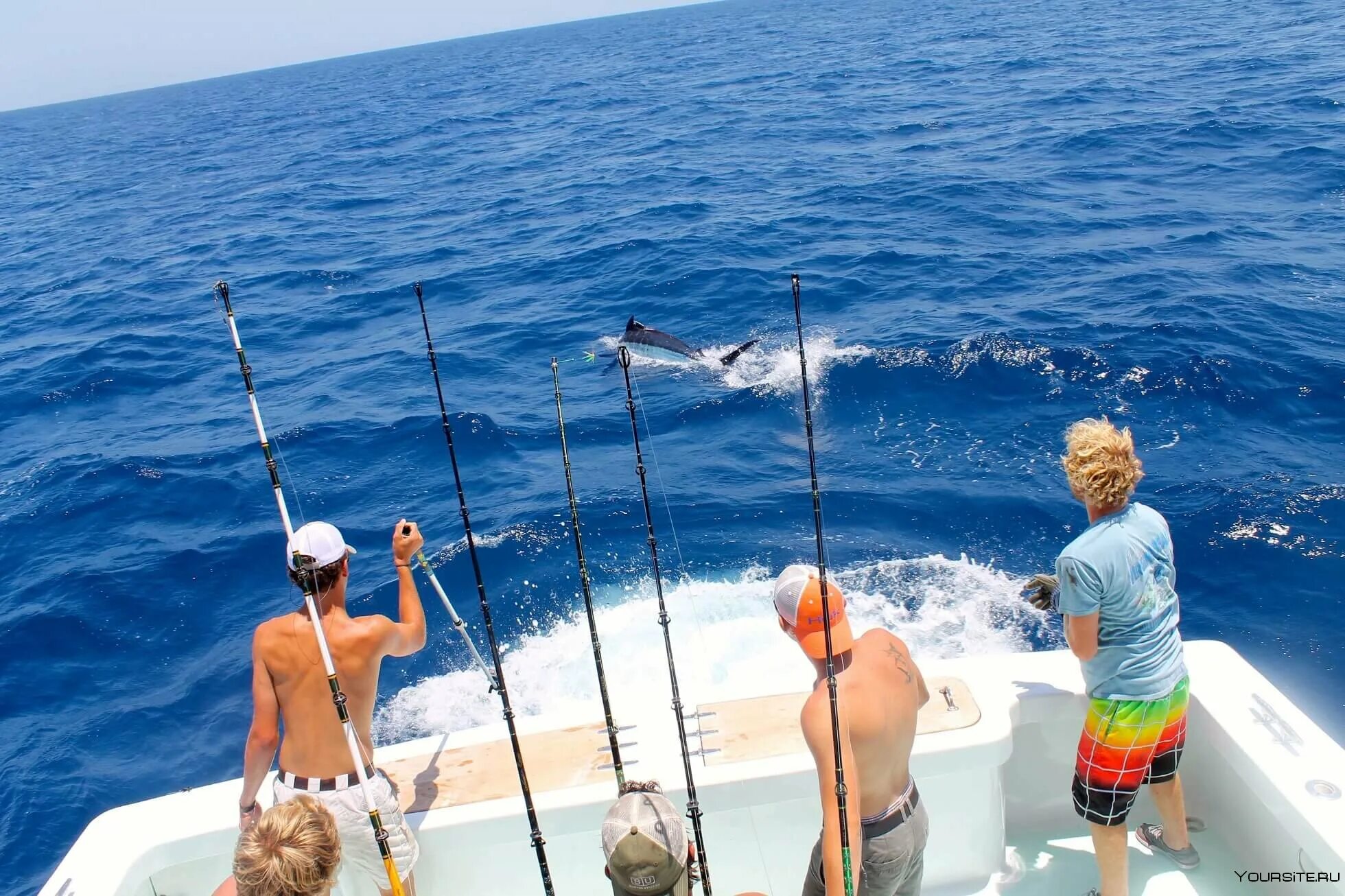 Морская рыбалка сочи. Рыбы на мальдивах. Vip fishing. Рыбалка на мальдивах. Камбала в анапе.