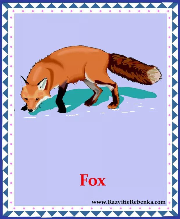 карточка на англ языке лиса. лиса карточка для детей. как пишется на английском лиса. карточки с дикими животными на английском. карточка по английскому лиса.
