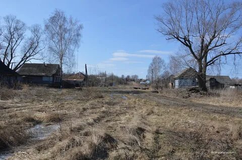 Большие поляны рязанская область