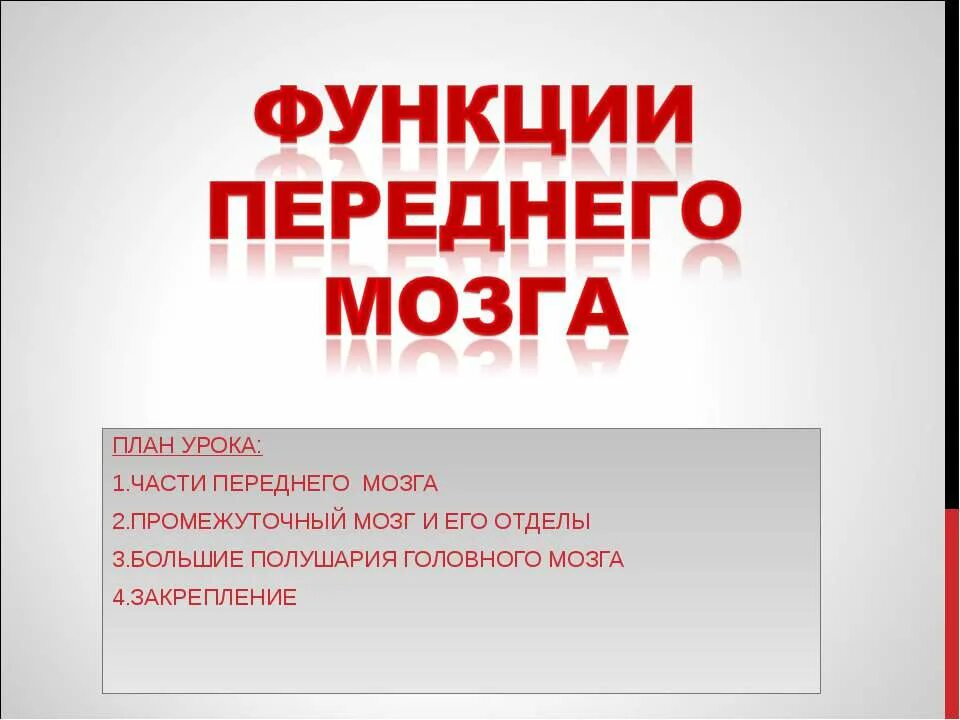 Перечислите функции переднего мозга. Передний мозг функции. функции переднего мозга человека. функции переднего мозга 8 класс. передний функции.
