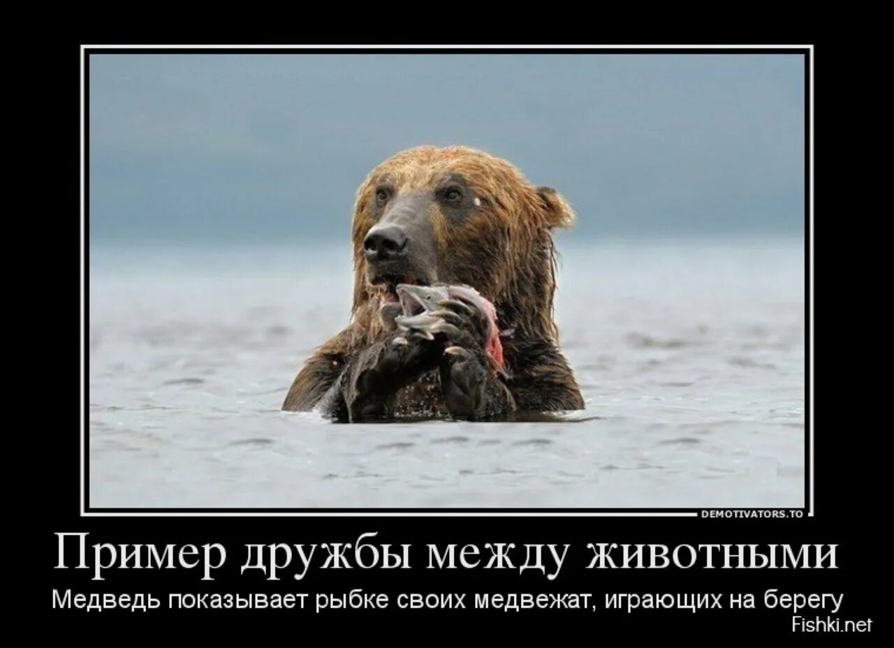 Яркие примеры дружбы