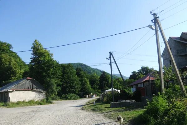 Экопарк каткова щель. Мидийное место в сочи. Погода каткова щель лазаревский. Лазаревское каткова щель. Каткова щель рынок.