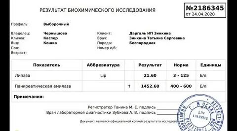 Преднизолон коту