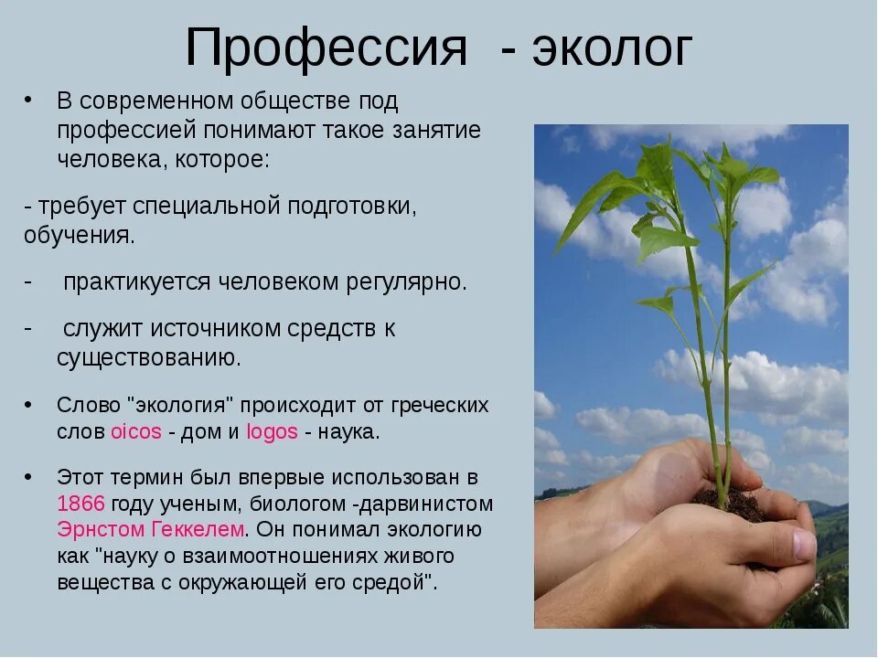 Каким должен быть настоящий эколог презентация. Профессия эколог. Профессия эколог для детей. Профессия эколог презентация. Профессии по экологии.