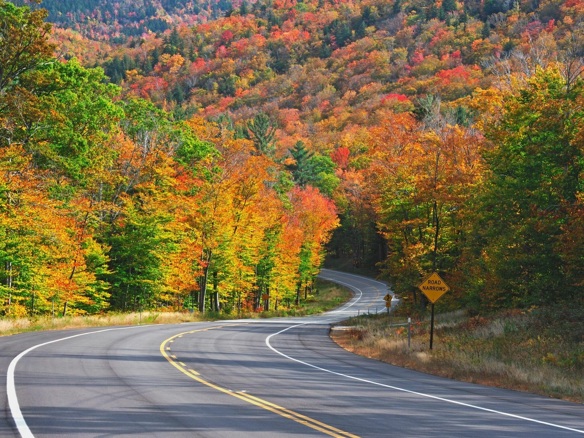 Fall like. Нью-Гэмпшир штат лес. Хэмпшир Англия осенью. США штат Вермонт Грин-Маунтинс. Леса ньюгемпщира осень.