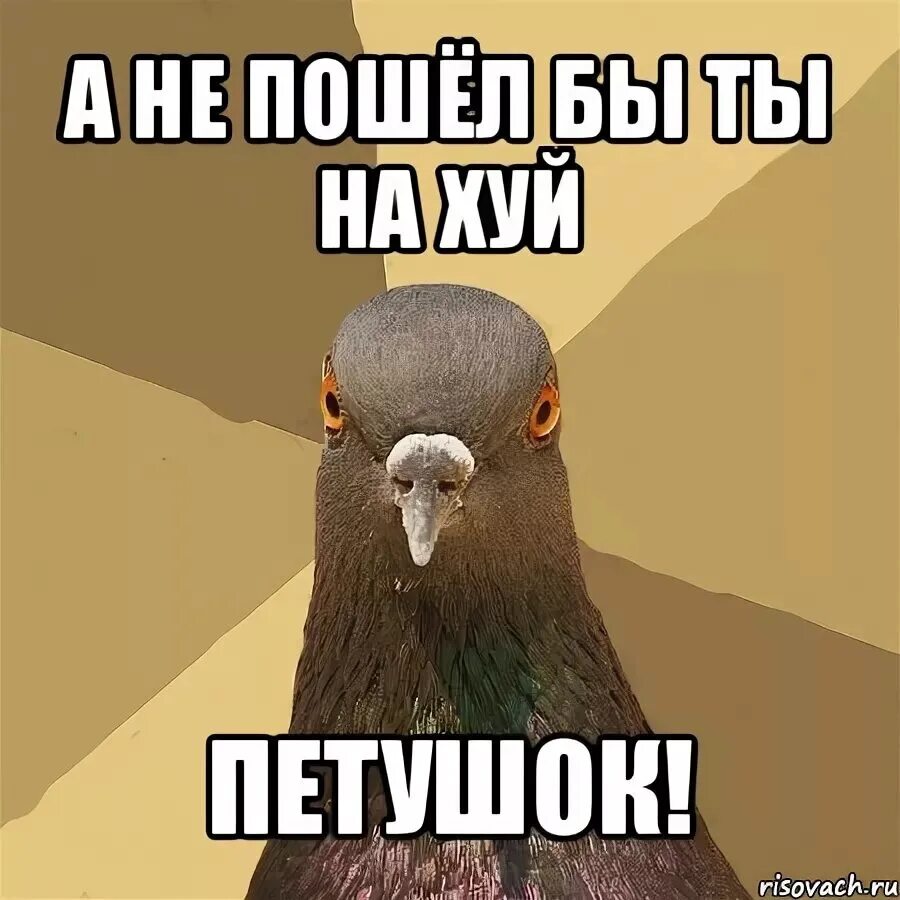 Анекдоты с котами. Разговоры разговоры текст песни. Игра где позвонили в звоночек. И слышно как где то. Колокольчик звучит.