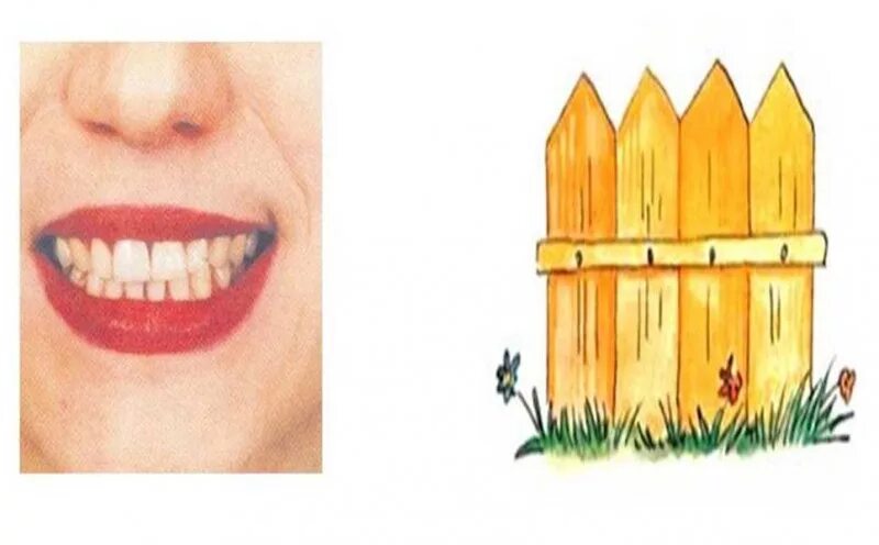 артикуляционная гимнастика заборчик трубочка.