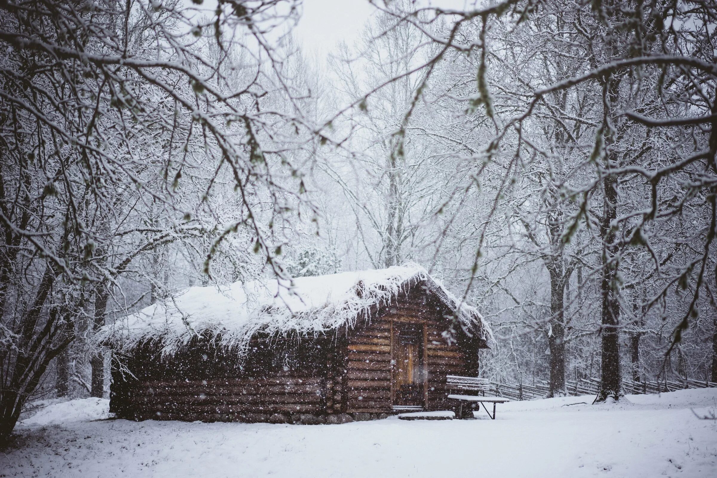 Изба зимой. Домик в зимнем лесу. Зимняя сторожка. Заимка тайга избушка сибирь. Избушка в лесу.