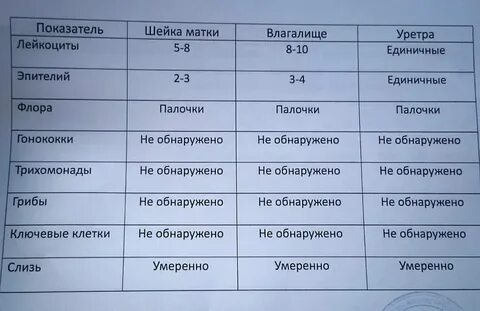 Нормальные показатели мазка у женщин