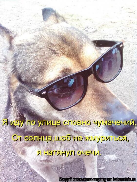 я иду словно чумачечий. я иду по улице словно чумачечий потому что я нагадил в тапок человечий. я иду по улице словно чумачечи. я иду по улице словно чумачечий мем. я чумачечий.