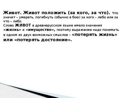 Имя означает пузо сканворд 5
