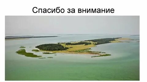Происхождение чаны