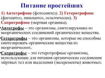 Сапротрофы тип питания