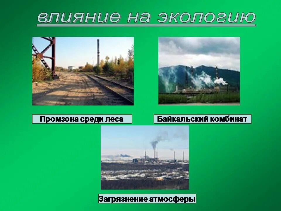 Влияние Лесной промышленности на окружающую среду. Влияние Лесной отрасли на окружающую среду. Влияние Лесной промышленности на экологию. Лесная промышленность воздействие на окружающую среду.