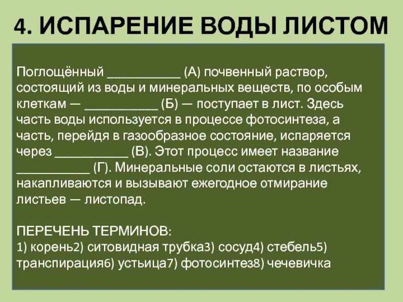 Испарение воды листом впр